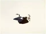 Ken Price, Acrobatic Frog Cup II, 5-color lithograph on Copperplate Deluxe paper