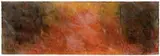 Joe Goode, Forest Fire #30
