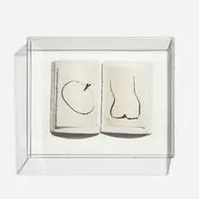 Anthony Caro, Book of Eden, 1999, lithographic multiple on two sheets of handmade Okawara mounted to two panels of four layer TGL plaster paper