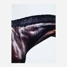 Prancer by Steven Klein, 2007, c-print mounted to aluminum, sold Jul 2022