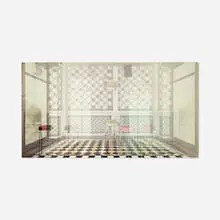 Maja Weyermann, Lexus II, 2002, digital print on aluminum