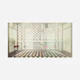 Maja Weyermann, Lexus II, 2002, digital print on aluminum