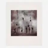 Keith Carter, Cops and Ladders