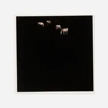 Jack Spencer, White Horses (from the Native Soil series), 1997, toned gelatin silver print
