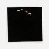 Jack Spencer, White Horses (from the Native Soil series), 1997, toned gelatin silver print