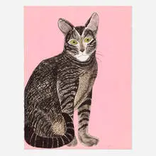 Joan Brown, Donald, 1983, lithograph in colors on BFK Rives