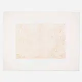 Mark Tobey, Mandarin and Flowers, 1973, lithograph in colors