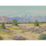Carl Sammons, Desert in Bloom, oil on canvas panel, [approximate dimensions -