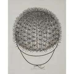 Barrel Cactus by Jacques Hnizdovsky, 1974, woodcut, [approximate dimensions -, offered Aug 2025