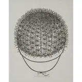 Jacques Hnizdovsky, Barrel Cactus, 1974, woodcut, [approximate dimensions -