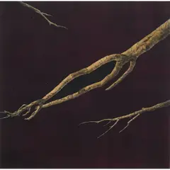"Crevice-Work No. 3," by Katsunori Hamanishi, 1987, etching, (approximate dimensions -, offered May 2025