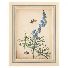 Pierre-Joseph Redouté, Stelo di commelina / Bocca di leone con farfalle, pencil and acquerello on paper