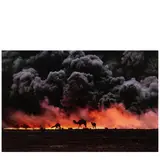 Steve McCurry, Ahmadi Oil Fields, Kuwait