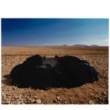 Shirin Neshat, Untitled (from 'Passage'), 2001, Silver dye bleach print; signed