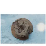 Gabriel Orozco, 'Arana en Tepalcate' (Spider on ancient plate)