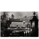 Sebastião Salgado, Untitled (Dog in Cemetery, Mexico)