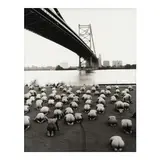 Spencer Tunick, Pennsylvania, 1998, Gelatin silver print; flush-mounted to aluminum