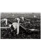 Danny Lyon, 'The Cotton Pickers, Ferguson Unit, TDC, Texas' (from 'Conversations with the Dead'), 1968, Gelatin silver print