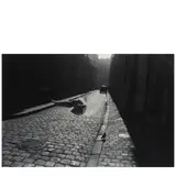 Elliott Erwitt, 'Orléans, France' (Bird and Cobblestones)
