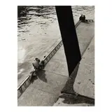 Willy Ronis, 'Quai Malaquai'