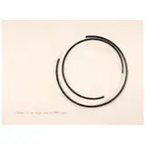 Bernar Venet, Position of two major arcs of 299.5° each