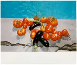 Pomodoro by Wolfgang Tillmans, 1993, C-Print auf Fujicolor Papier, sold Jun 2018