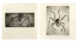 Louise Bourgeois, Ode a ma mere, 1995, Folge von 9 Kaltnadelarbeiten, jeweils auf Velin