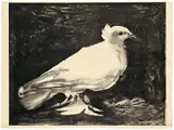 La Colombe by Pablo Picasso, 1949, Lithographie auf Arches-Velin, sold May 2008