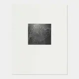 Vija Celmins, Untitled (Web 1), 2001, mezzotint on paper on Hahnemühle Copperplate
