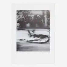 Hund by Gerhard Richter, 1993, offset lithograph, sold Jun 2022