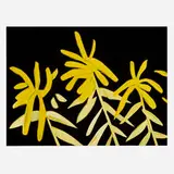 Alex Katz, Goldenrod (from the Flowers portfolio), 2021, archival pigment inks on Innova 315 gsm