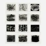 Terry Winters, Shadowgraphs, 2002, wood engraving in colors