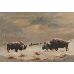 A. D. M. Cooper, Buffalo Stand Off with Fallen Native American, 1922, oil on canvas, [approximate dimensions -