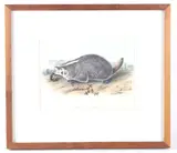 Untitled by Liu Ji, lithograph american badger by audubon, offered Jan 2021