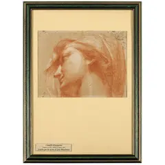 Camillo Procaccini, Studio di testa, red chalk and gessetto on paper grigia