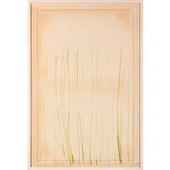 Luciano Fabro, Torino 1936 - Milano 2007 / Erbe per habitat delle erbe, 1980, Matite e pennello su carta applicata su tela