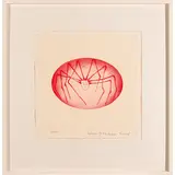 Louise Bourgeois, Parigi 1911 - New York 2010 / Spider Woman, 2005, Puntasecca a colori su carta