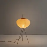 Senza titolo by A Floor Lamp By I. Noguchi, offered Feb 2026
