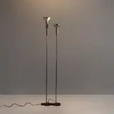 Senza titolo by Two Floor Lamps By G. Sarfatti, offered Feb 2026
