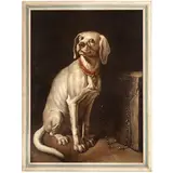 Tiberio Titi, Ritratto di cane, oil on canvas