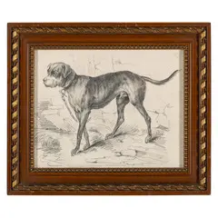 Filippo Palizzi, Vasto, 1818 - Napoli, 1899 / Ritratto di cane / Firmato F Palizzi in basso a sinistra, pencil on paper