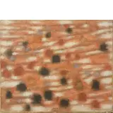 Anton Zoran Mušič, Boccavizza 1909 - Venezia 2005 / Terre Dalmate, 1960