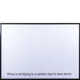 Claire Fontaine, What is terrifying is a certain way to face terror, 2011