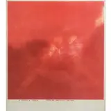 Franco Angeli, Roma 1935 - 1988 / Fiore del partigiano, 1963-70,