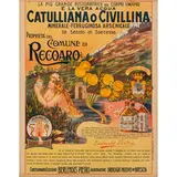 Senza titolo by Comune di Recoaro Acqua Catulliana e Civillina, offered Apr 2026