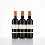 Senza titolo by Solaia Antinori 1982, offered Apr 2026