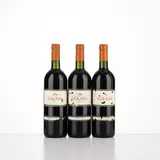 Senza titolo by Solaia Antinori 1990, offered Apr 2026