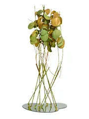 Alyson Shotz, Still Life, 2001, rubber, latex, steel, tape, 'Q'tips, mirrors and tubing