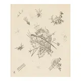 Wassily Kandinsky, Kleine Welten X (Roethel 173), 1922, Drypoint on laid paper, an unsigned proof aside from the edition of 200 and the edition of 30 on Japan paper