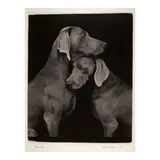 William Wegman, Friends